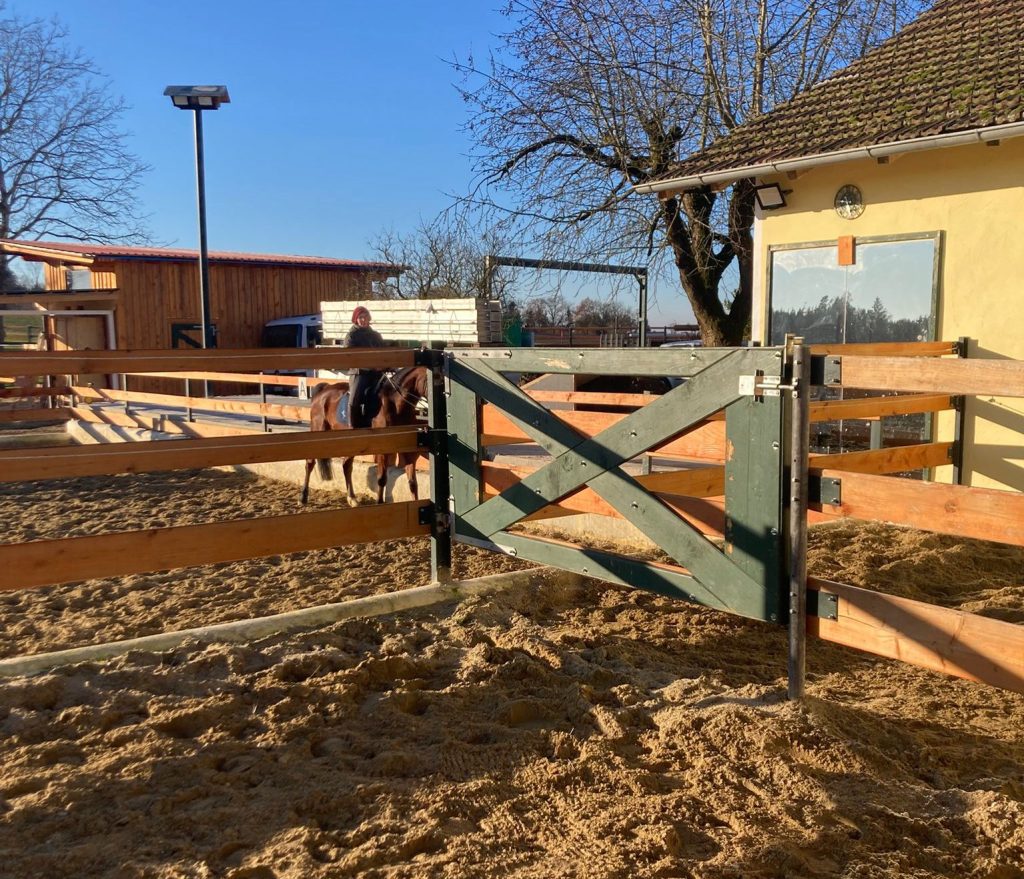 Reitplatz mit Flutlichanlage, Gut Albersberg, Anna Fiedler