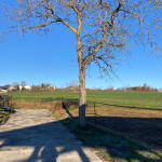 Gut Albersberg, Anna Fiedler Gut Albersberg, Anna Fiedler