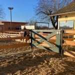 Reitplatz mit Flutlichanlage, Gut Albersberg, Anna Fiedler Reitplatz mit Flutlichanlage, Gut Albersberg, Anna Fiedler