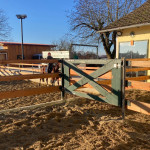 Reitplatz mit Flutlichanlage, Gut Albersberg, Anna Fiedler Reitplatz mit Flutlichanlage, Gut Albersberg, Anna Fiedler