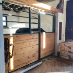 Gut Albersberg, Pferdeboxen Hauptstall Gut Albersberg, Pferdeboxen Hauptstall