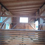 Anna Fiedler, riesige helle Gastpferdeboxen mit Paddock, Intensivtage, Reitunterricht Anna Fiedler, riesige helle Gastpferdeboxen mit Paddock, Intensivtage, Reitunterricht