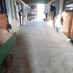 Stallgasse Gut Albersberg, Paddockboxen Stallgasse Gut Albersberg, Paddockboxen