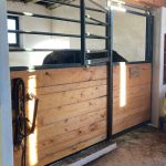 Anna Fiedler, Pferdeboxen, Paddockboxen Anna Fiedler, Pferdeboxen, Paddockboxen