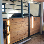 Anna Fiedler, Pferdeboxen, Paddockboxen Anna Fiedler, Pferdeboxen, Paddockboxen