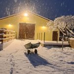 Hauptstall im Winter, Gut Albersberg, Anna Fiedler Hauptstall im Winter, Gut Albersberg, Anna Fiedler