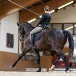 Anna Fiedler, Reitlehrerin, Reitstunden Anna Fiedler, Reitlehrerin, Reitstunden