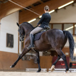 Anna Fiedler, Reitlehrerin, Reitstunden Anna Fiedler, Reitlehrerin, Reitstunden