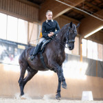 Anna Fiedler, Oliveira Stables, Feira Anna Fiedler, Oliveira Stables, Feira