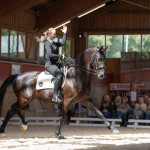 Anna Fiedler, Oliveira Stables, Feira Anna Fiedler, Oliveira Stables, Feira