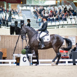 Anna Fiedler, Oliveira Stables, Feira Anna Fiedler, Oliveira Stables, Feira