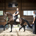 Anna Fiedler, Manuel Jorge de Oliveira, Feira Anna Fiedler, Manuel Jorge de Oliveira, Feira